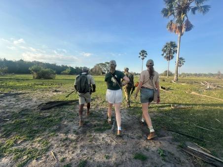 People walking with a guide across a grassy savanna