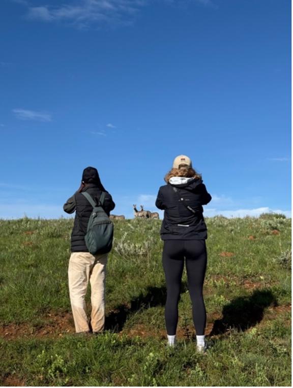Two people on a walking safari