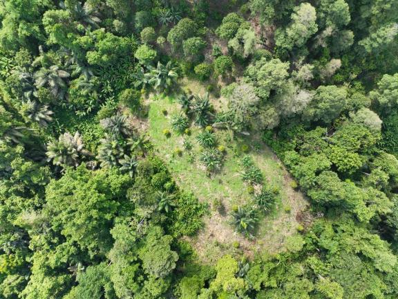 Drone mapping in Terpedo Jaya Community Forests