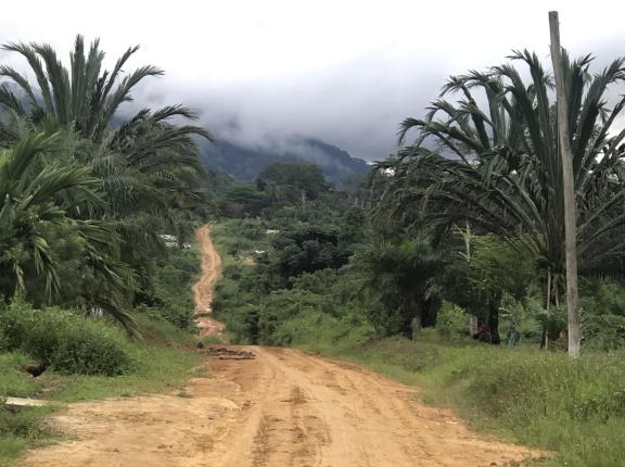 Figure 2 - The road to a cocoa growing community in Cameroon