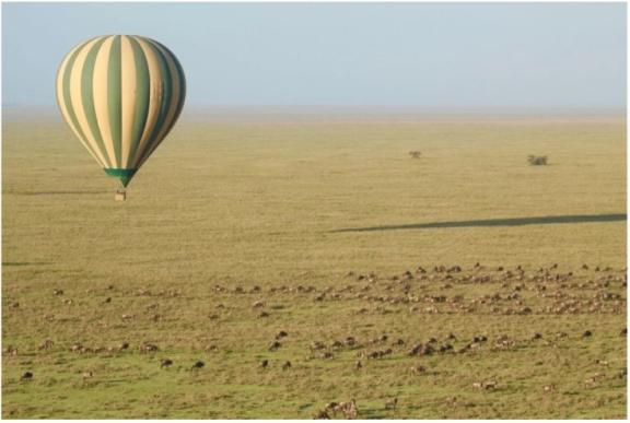 Photo of a hot air balloon flying over the Serengeti