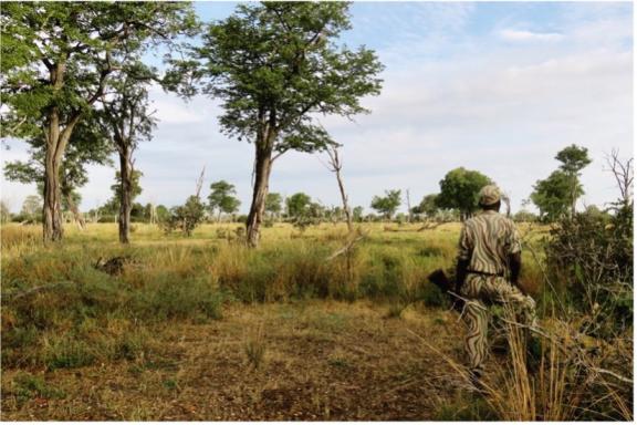 Photo of a savanna area in South Luwanga