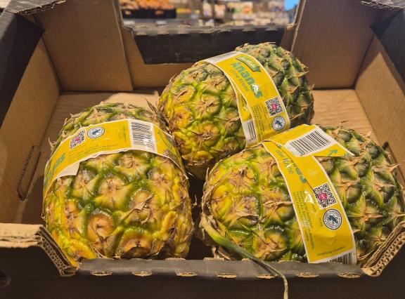 Rainforest Alliance certified crownless pineapples at a German discounter