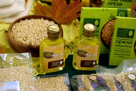 Siberian pine nuts and cedar oil in Buryatia, Russia
