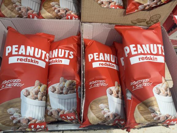 Roasted and salted redskin peanuts