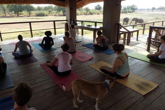 Guests enjoying yoga in the Zambian Bush