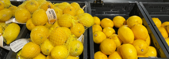 Fresh lemons in a Dutch supermarket