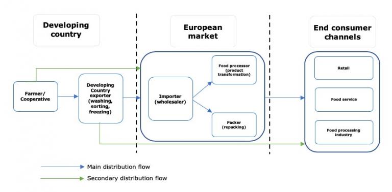 European market channels for tropical frozen fruit