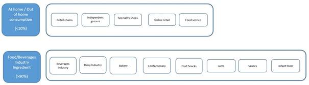 End market segments for mango puree in Europe
