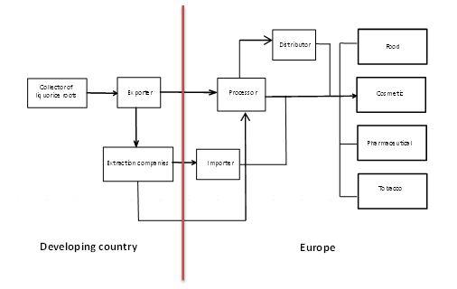 Export Value Chain for Liquorice Extract
