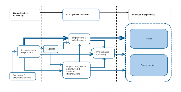 European market channels for fresh tuna