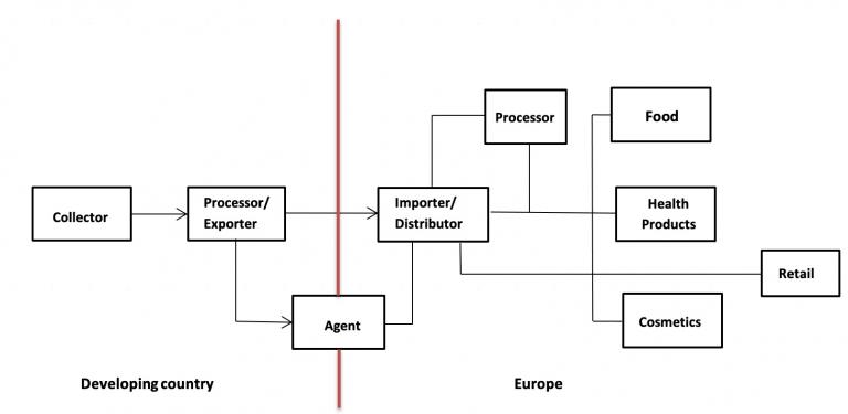Export Value Chain for Turmeric