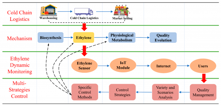 Fruit and Vegetable Fresh Produce Quality Control Software