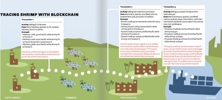Tracing shrimp with Blockchain