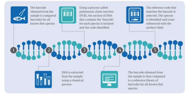 The DNA Testing Process