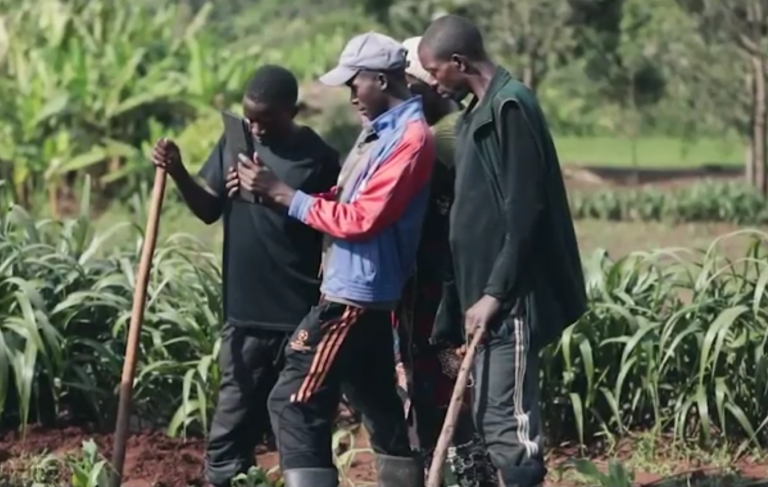Farmers studying AgriCoach