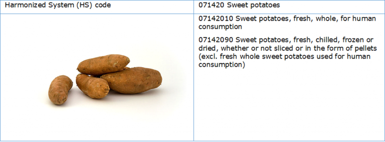 The European sweet potato market has not yet reached its full potential. Growing import together with local production initiatives are fostering mainstream consumption and product development. Consumption is most developed in the UK, and the Netherlands positions itself as a trade hub for northern European growth markets such as Germany and France. Product description The sweet potato (Scientific name: Ipomoea batatas) is a root vegetable. Despite its name, the sweet potato does not belong to the same fami