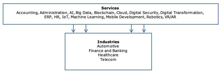 Horizontal and vertical market segments for software