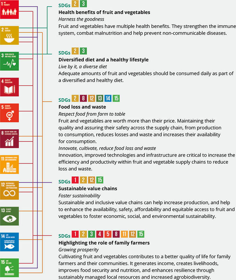 Sustainable Development Goals related to fruit and vegetables