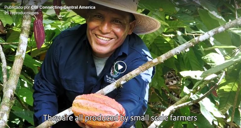 Screen shot of Virtual Farm Tour of Cooperativa Alianza from Guatemala*