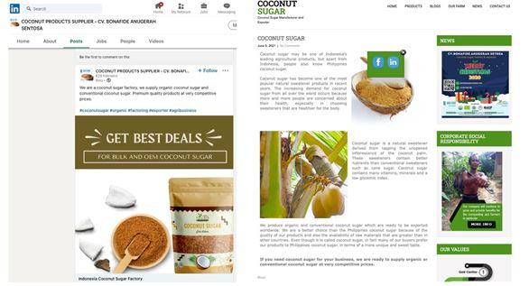 CV Bonafide Anugerah Sentosa LinkedIn post and blog post