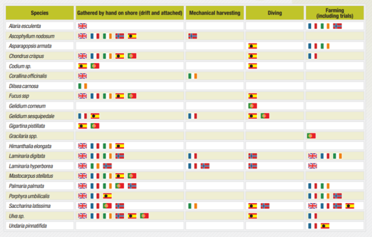 cies harvested and harvesting techniques in Europe