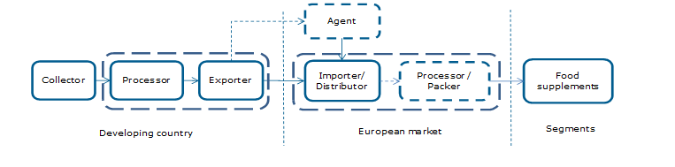 Export value chain of baobab