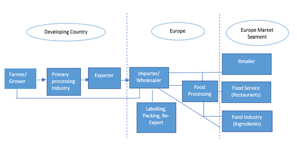 European market channels for frozen vegetables