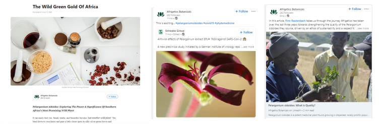 Examples of Afrigetics LinkedIn posts