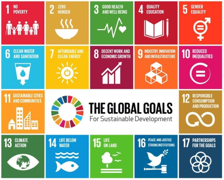 The UN Sustainable Development Goals