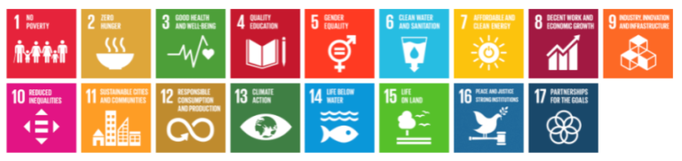 The 17 UN Sustainable Development Goals