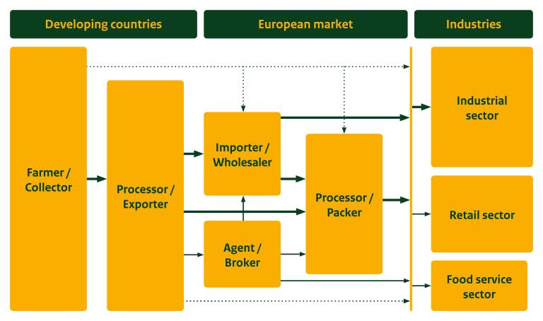 Trade channels for Curcuma longa in Europe