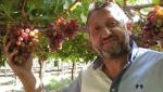 Fadi Sarkis