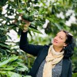 Stéphanie Catsidonis – Procurement at Mehadrin France