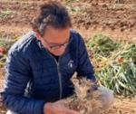 Juan Carlos Navarro, managing director of Big Garlic