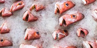 Fresh fish hero 1920x480_0