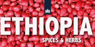Banner CBI Ethiopia spices and herbs FiE 2025