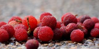 Berries