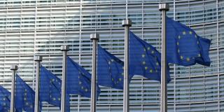 CBI New EU rules reshape the cocoa industry
