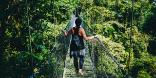 Ecotourism