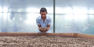 Man holding cocoa beans