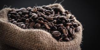 Coffee- by Tina Guina