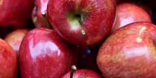 Shiny apples