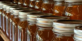 European honey market and stricter traceability requirements
