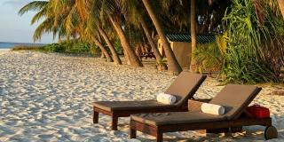 2024-Honeymoons-MA---Study-Banner.jpg