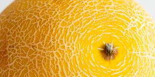 A fresh galia melon against a white background