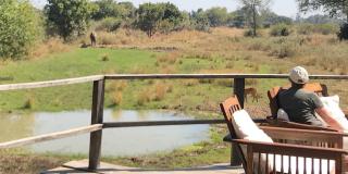 Person sitting in safari lodge