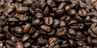 Close-up of roasted Arabica coffee beans against a white background