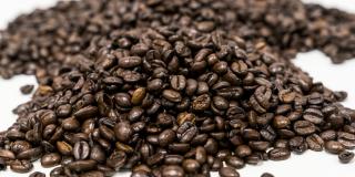 Coffee0042Arabica