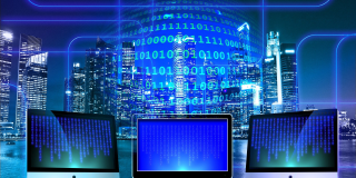 IT and business process outsourcing sector